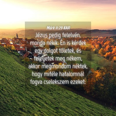 Picture 04 - Márk 11:29 KAR - Jézus pedig felelvén, monda nékik: Én is - Bible Verse Picture