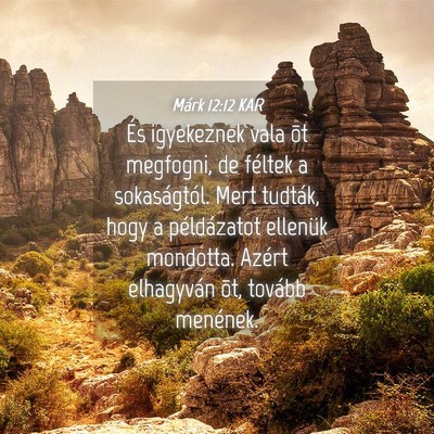Picture 04 - Márk 12:12 KAR - És igyekeznek vala õt megfogni, de féltek a - Bible Verse Picture