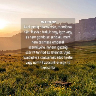 Picture 04 - Márk 12:14 KAR - Azok pedig odamenvén, mondának néki: Mester, - Bible Verse Picture