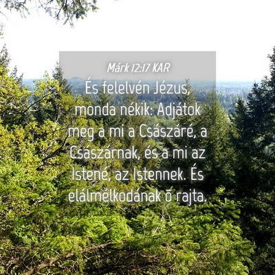 Picture 04 - Márk 12:17 KAR - És felelvén Jézus, monda nékik: Adjátok meg - Bible Verse Picture