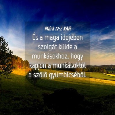 Picture 04 - Márk 12:2 KAR - És a maga idejében szolgát külde a - Bible Verse Picture