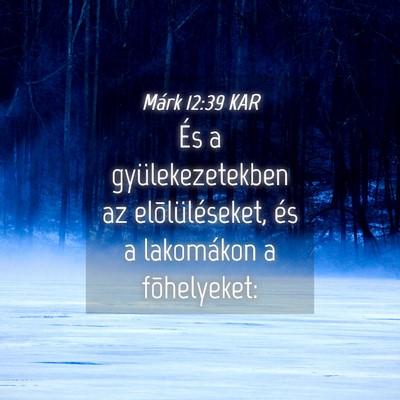 Picture 04 - Márk 12:39 KAR - És a gyülekezetekben az elõlüléseket, és a - Bible Verse Picture