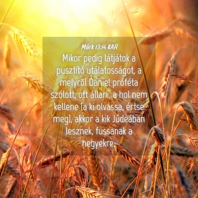 Picture 04 - Márk 13:14 KAR - Mikor pedig látjátok a pusztító - Bible Verse Picture
