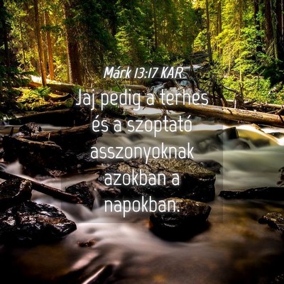 Picture 04 - Márk 13:17 KAR - Jaj pedig a terhes és a szoptató asszonyoknak - Bible Verse Picture