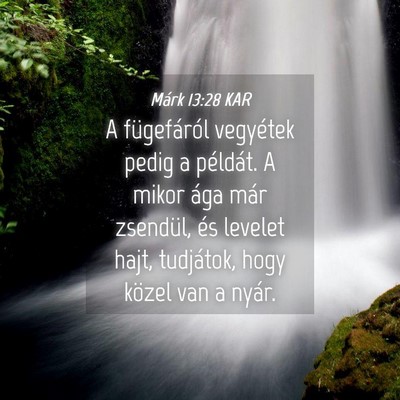 Picture 04 - Márk 13:28 KAR - A fügefáról vegyétek pedig a példát. A - Bible Verse Picture