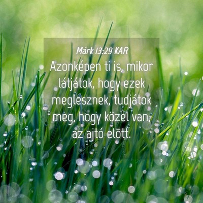 Picture 04 - Márk 13:29 KAR - Azonképen ti is, mikor látjátok, hogy ezek - Bible Verse Picture