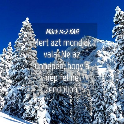 Picture 04 - Márk 14:2 KAR - Mert azt mondják vala: Ne az ünnepen, hogy a - Bible Verse Picture