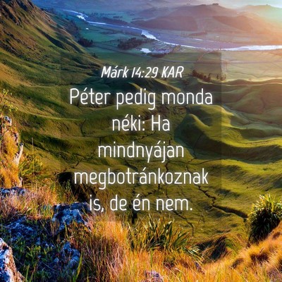 Picture 04 - Márk 14:29 KAR - Péter pedig monda néki: Ha mindnyájan - Bible Verse Picture