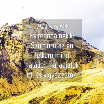 Picture 04 - Márk 14:34 KAR - És monda nékik: Szomorú az én lelkem mind - Bible Verse Picture