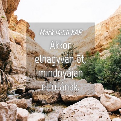 Picture 04 - Márk 14:50 KAR - Akkor elhagyván õt, mindnyájan - Bible Verse Picture