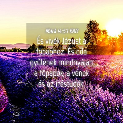 Picture 04 - Márk 14:53 KAR - És vivék Jézust a fõpaphoz. És oda - Bible Verse Picture