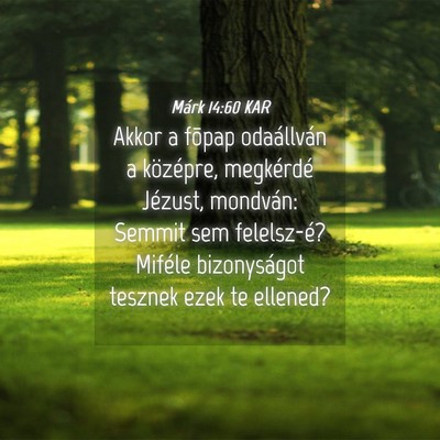 Picture 04 - Márk 14:60 KAR - Akkor a fõpap odaállván a középre, - Bible Verse Picture