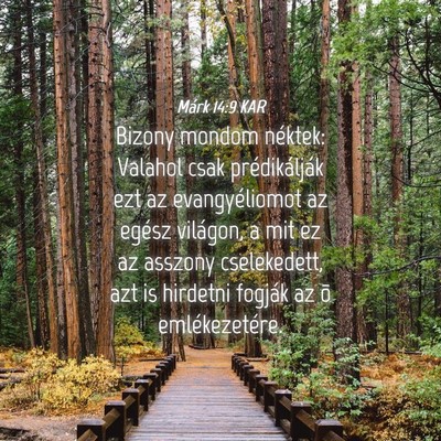 Picture 04 - Márk 14:9 KAR - Bizony mondom néktek: Valahol csak - Bible Verse Picture