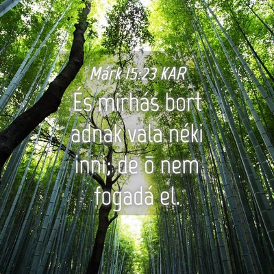 Picture 04 - Márk 15:23 KAR - És mirhás bort adnak vala néki inni; de õ nem - Bible Verse Picture