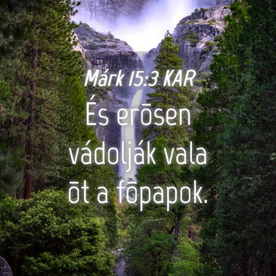 Picture 04 - Márk 15:3 KAR - És erõsen vádolják vala õt a - Bible Verse Picture