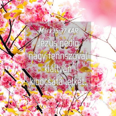 Picture 04 - Márk 15:37 KAR - Jézus pedig nagy fennszóval kiáltván - Bible Verse Picture