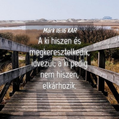 Picture 04 - Márk 16:16 KAR - A ki hiszen és megkeresztelkedik, idvezül; a ki - Bible Verse Picture