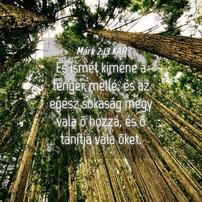 Picture 04 - Márk 2:13 KAR - És ismét kiméne a tenger mellé; és az egész - Bible Verse Picture