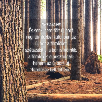 Picture 04 - Márk 2:22 KAR - És senki sem tölt új bort régi tömlõkbe; - Bible Verse Picture