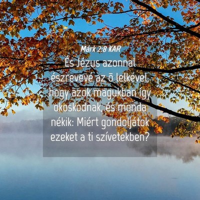 Picture 04 - Márk 2:8 KAR - És Jézus azonnal észrevevé az õ lelkével, - Bible Verse Picture
