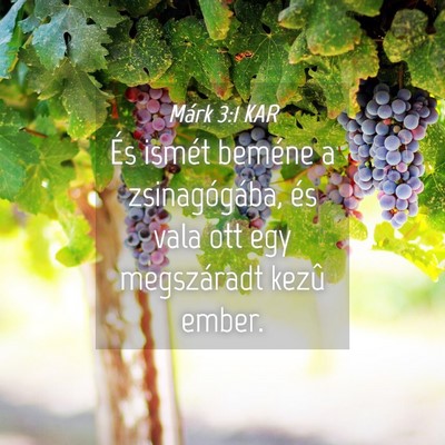 Picture 04 - Márk 3:1 KAR - És ismét beméne a zsinagógába, és vala ott - Bible Verse Picture