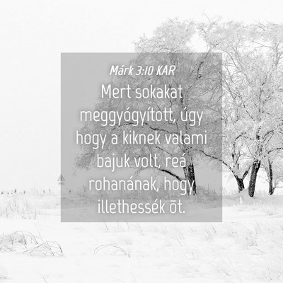Picture 04 - Márk 3:10 KAR - Mert sokakat meggyógyított, úgy hogy a kiknek - Bible Verse Picture