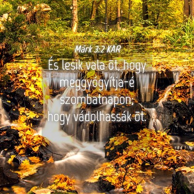 Picture 04 - Márk 3:2 KAR - És lesik vala õt, hogy meggyógyítja-é - Bible Verse Picture