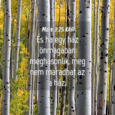 Picture 04 - Márk 3:25 KAR - És ha egy ház önmagában meghasonlik, meg nem - Bible Verse Picture