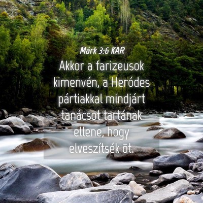 Picture 04 - Márk 3:6 KAR - Akkor a farizeusok kimenvén, a Heródes - Bible Verse Picture