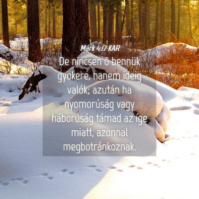 Picture 04 - Márk 4:17 KAR - De nincsen õ bennük gyökere, hanem ideig - Bible Verse Picture