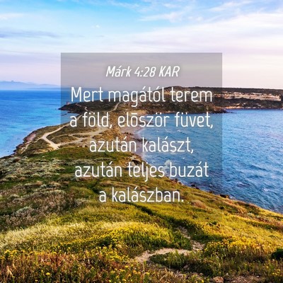 Picture 04 - Márk 4:28 KAR - Mert magától terem a föld, elõször füvet, - Bible Verse Picture