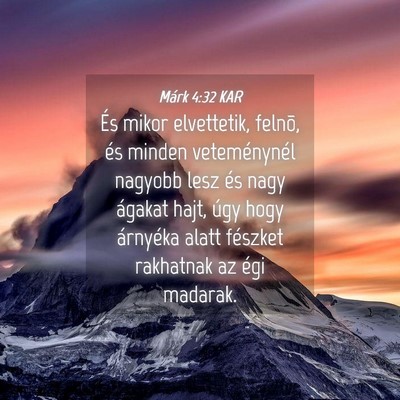 Picture 04 - Márk 4:32 KAR - És mikor elvettetik, felnõ, és minden - Bible Verse Picture