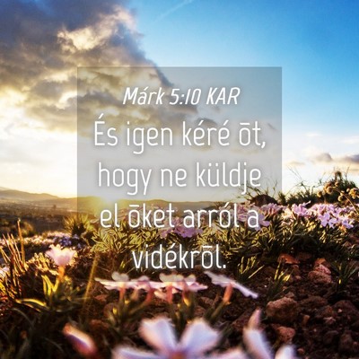 Picture 04 - Márk 5:10 KAR - És igen kéré õt, hogy ne küldje el õket - Bible Verse Picture