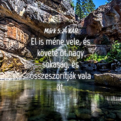 Picture 04 - Márk 5:24 KAR - El is méne vele, és követé õt nagy sokaság, - Bible Verse Picture