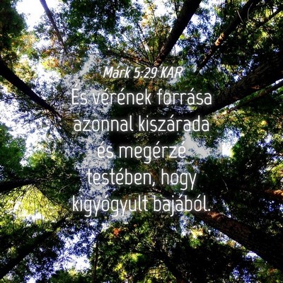 Picture 04 - Márk 5:29 KAR - És vérének forrása azonnal kiszárada és - Bible Verse Picture