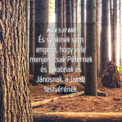 Picture 04 - Márk 5:37 KAR - És senkinek sem engedé, hogy vele menjen, csak - Bible Verse Picture