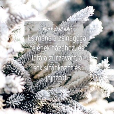 Picture 04 - Márk 5:38 KAR - És méne a zsinagóga fejének házához, és - Bible Verse Picture