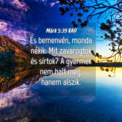 Picture 04 - Márk 5:39 KAR - És bemenvén, monda nékik: Mit zavarogtok és - Bible Verse Picture