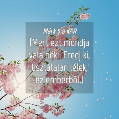 Picture 04 - Márk 5:8 KAR - (Mert ezt mondja vala néki: Eredj ki, - Bible Verse Picture