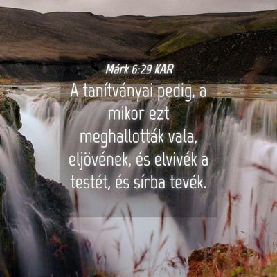 Picture 04 - Márk 6:29 KAR - A tanítványai pedig, a mikor ezt meghallották - Bible Verse Picture
