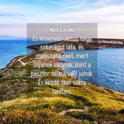 Picture 04 - Márk 6:34 KAR - És kimenvén Jézus nagy sokaságot láta, és - Bible Verse Picture