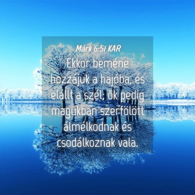 Picture 04 - Márk 6:51 KAR - Ekkor beméne hozzájuk a hajóba, és elállt a - Bible Verse Picture