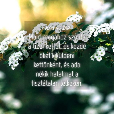 Picture 04 - Márk 6:7 KAR - Majd magához szólítá a tizenkettõt, és - Bible Verse Picture