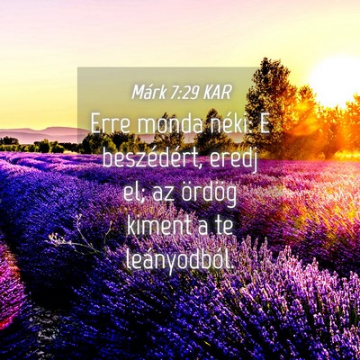 Picture 04 - Márk 7:29 KAR - Erre monda néki: E beszédért, eredj el; az - Bible Verse Picture