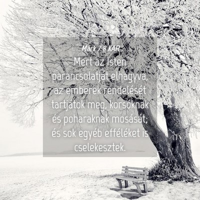 Picture 04 - Márk 7:8 KAR - Mert az Isten parancsolatját elhagyva, az - Bible Verse Picture