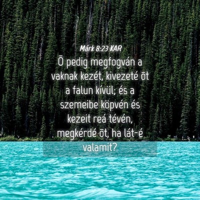 Picture 04 - Márk 8:23 KAR - Õ pedig megfogván a vaknak kezét, kivezeté - Bible Verse Picture