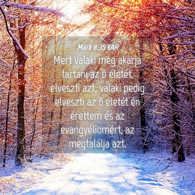 Picture 04 - Márk 8:35 KAR - Mert valaki meg akarja tartani az õ életét, - Bible Verse Picture