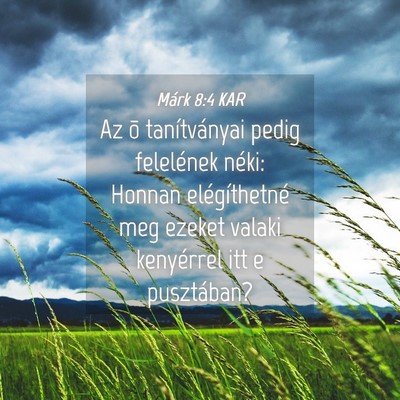 Picture 04 - Márk 8:4 KAR - Az õ tanítványai pedig felelének néki: - Bible Verse Picture