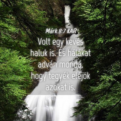 Picture 04 - Márk 8:7 KAR - Volt egy kevés haluk is. És hálákat adván - Bible Verse Picture