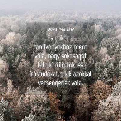 Picture 04 - Márk 9:14 KAR - És mikor a tanítványokhoz ment vala, nagy - Bible Verse Picture